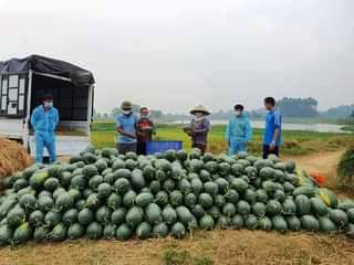 Hội LHPN huyện Việt Yên kết nối hỗ trợ tiêu thụ nông sản cho nông dân bị ảnh hưởng bởi dịch...