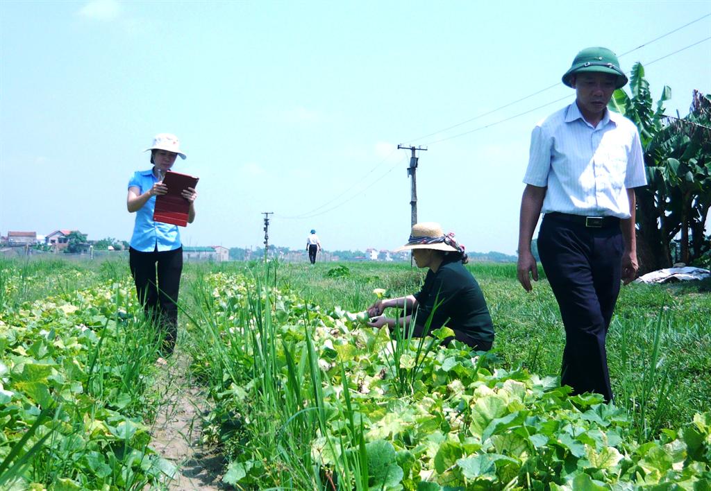 Việt Yên: Phó Chủ tịch UBND huyện Nguyễn Đức Hiền đi kiểm tra hai thôn nông nghiệp kiểu mẫu