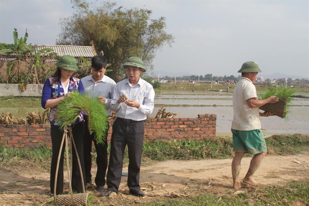 Đồng chí Nguyễn Đức Hiền, Phó Chủ tịch UBND huyện kiểm tra tiến độ sản xuất vụ xuân ở một số địa...