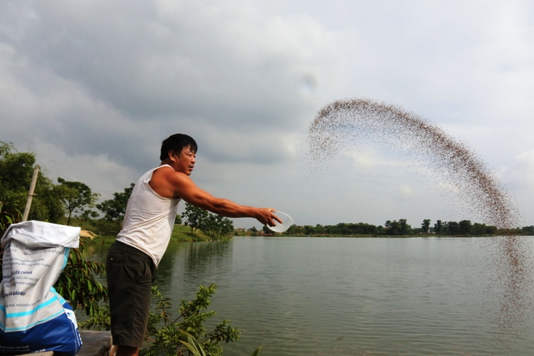 Làm giàu nhờ nuôi cá - Anh Nguyễn Văn Cường - thôn Râm, xã Tự Lạn